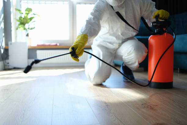 Reliable Biohazard contractor in Hawthorne, NV by Trauma Clean Pros